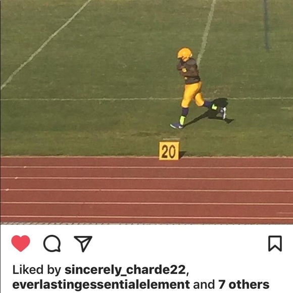 Meet your Posher, Stanley - Picture 1 of 1